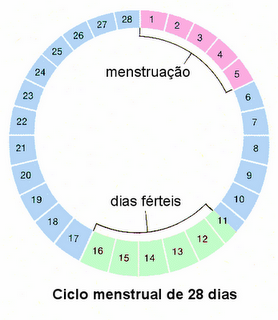 Período fértil - descubra os melhores dias para aumentar as chances de  engravidar - Almanaque dos Pais