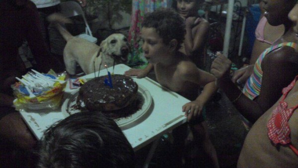 Meu filho peludo só olhando o irmão cabeludo assoprando a velinha
